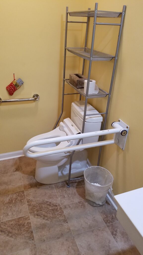 Photo: Accessible toilet with bidet and grab bars 